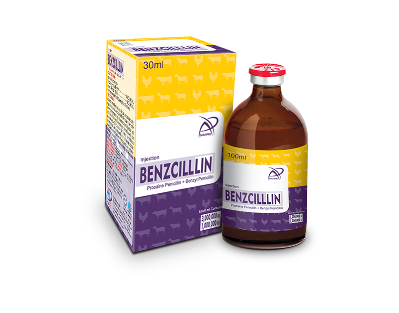Benzcilllin