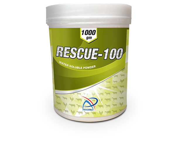 Rescue-100