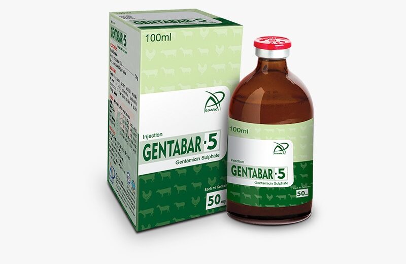 GENTABAR-5 Injection100 ml