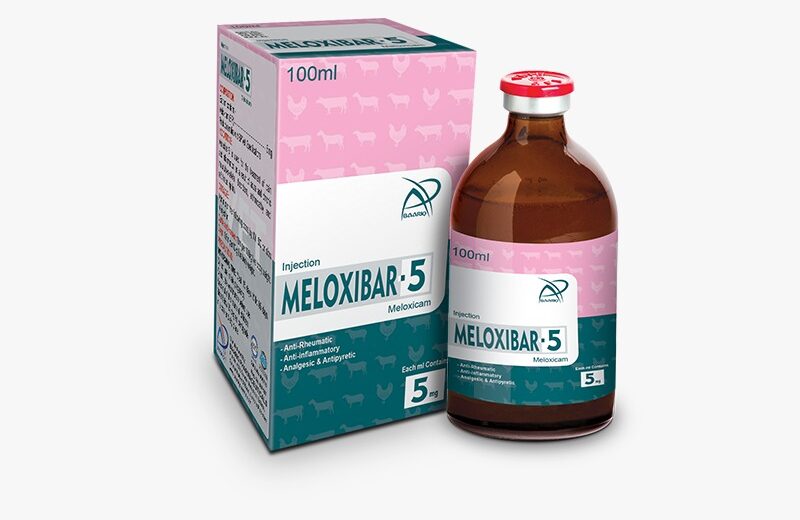 MELOXIBAR-5 (Injection 100 ml)