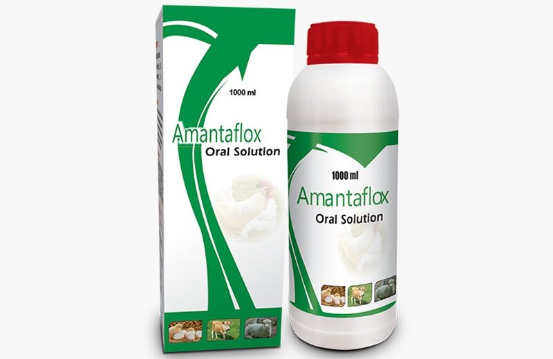 AMANTAFLOX (Oral Solution)