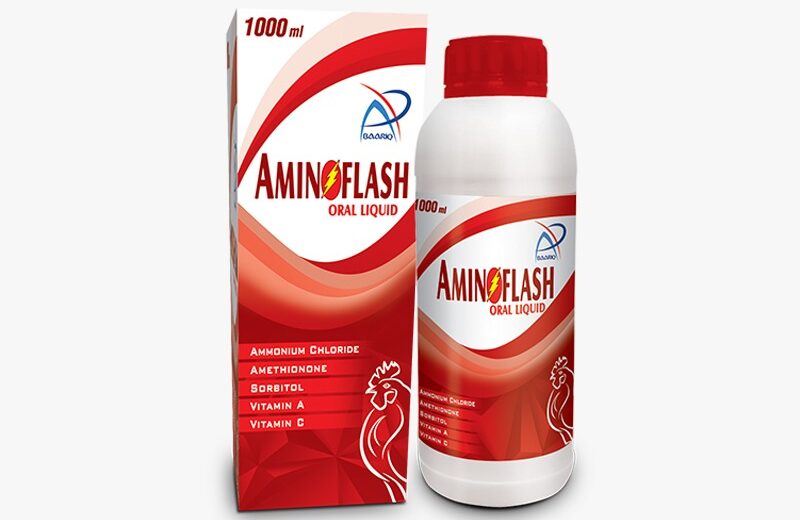 AMINOFLASH (Oral Liquid)