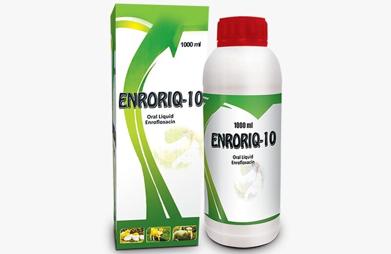 ENRORIQ-10 (Oral Liquid)