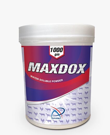 MAXDOX (Water Soluble Powder)