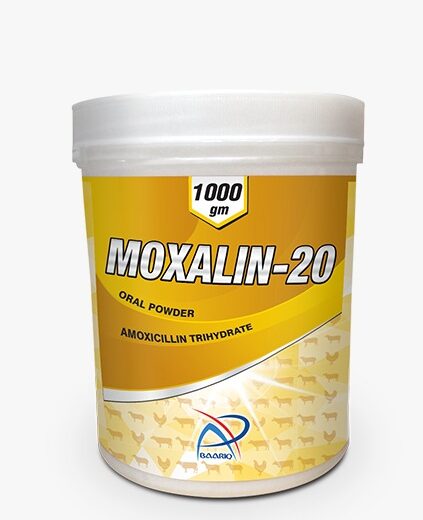 MOXALIN-20 (Oral Powder)