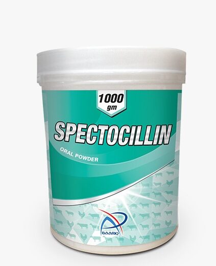 SPECTOCILLIN (Oral Powder)