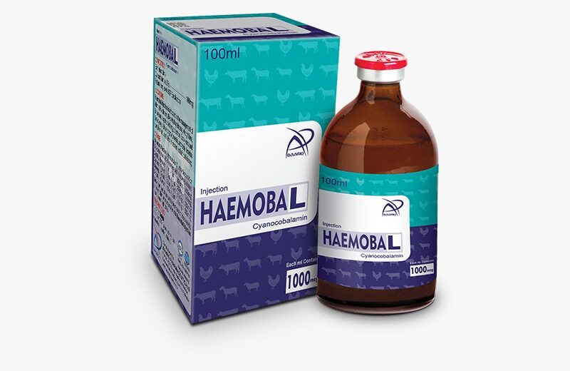 HAEMOBAL (Injection 100 ml)