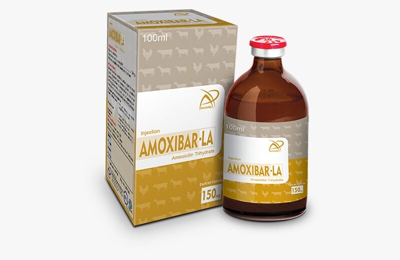 AMOXIBAR-LA (Injection 100 ml)