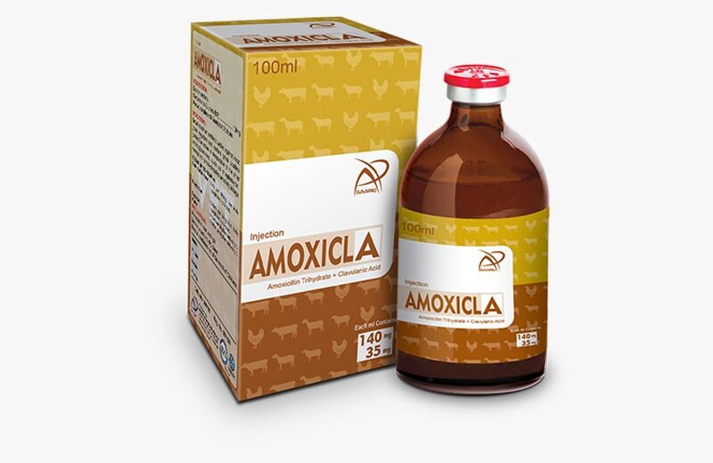 AMOXICLA (Injection 100 ml)