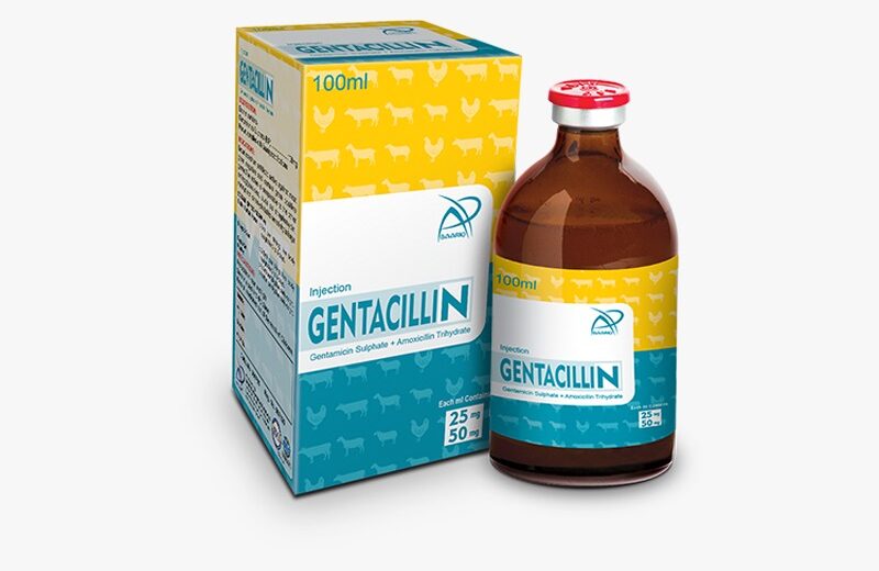 GENTACILLIN (Injection 100 ml)