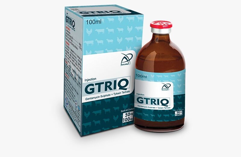 GTRIQ (Injection 100 ml)