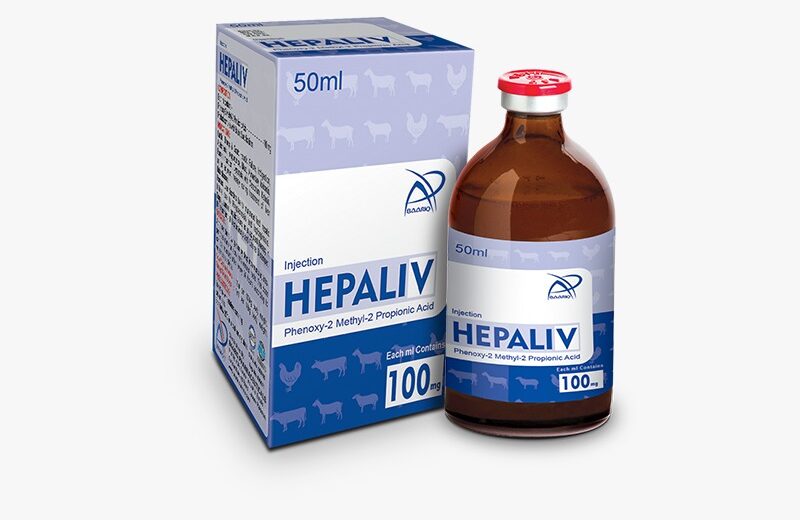 HEPALIV (Injection 100 ml)