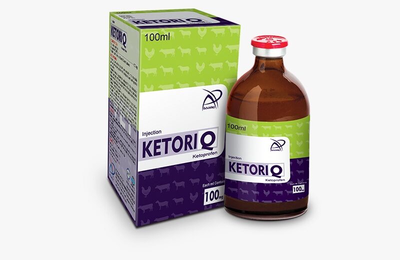 KETORIQ (Injection 100 ml)