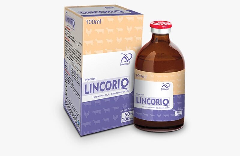 LINCORIQ (Injection 100 ml)