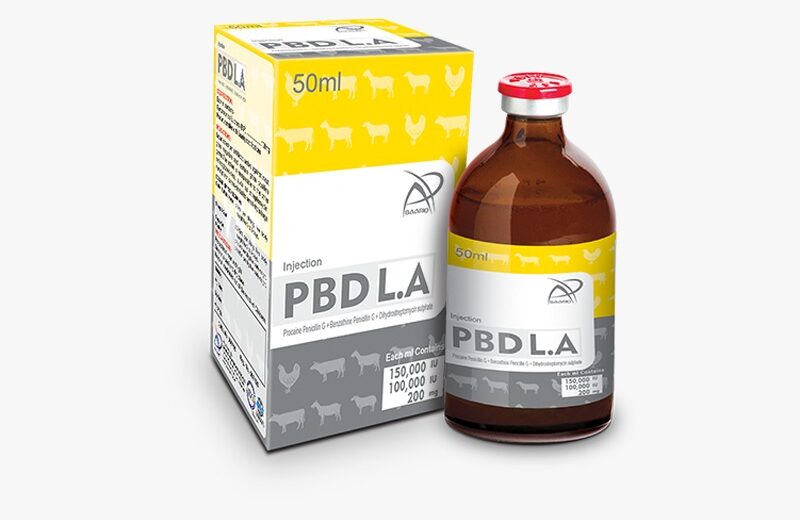 PBD L.A (Injection 50 ml)