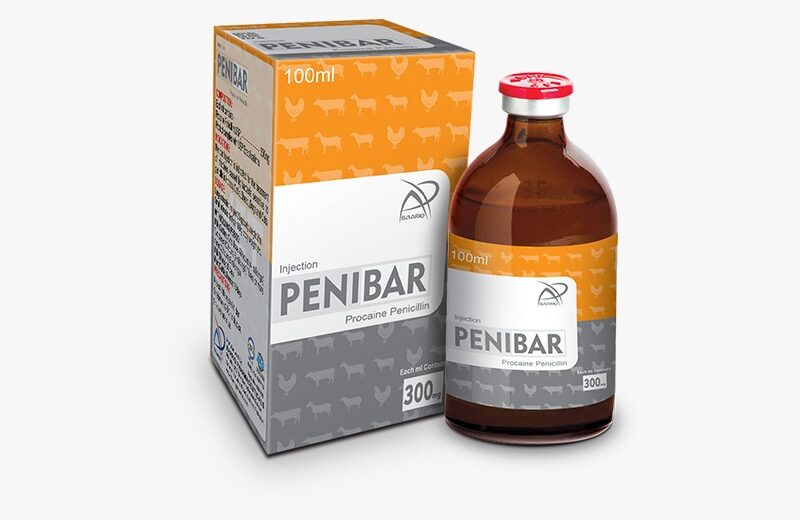 PENIBAR (Injection 100 ml)