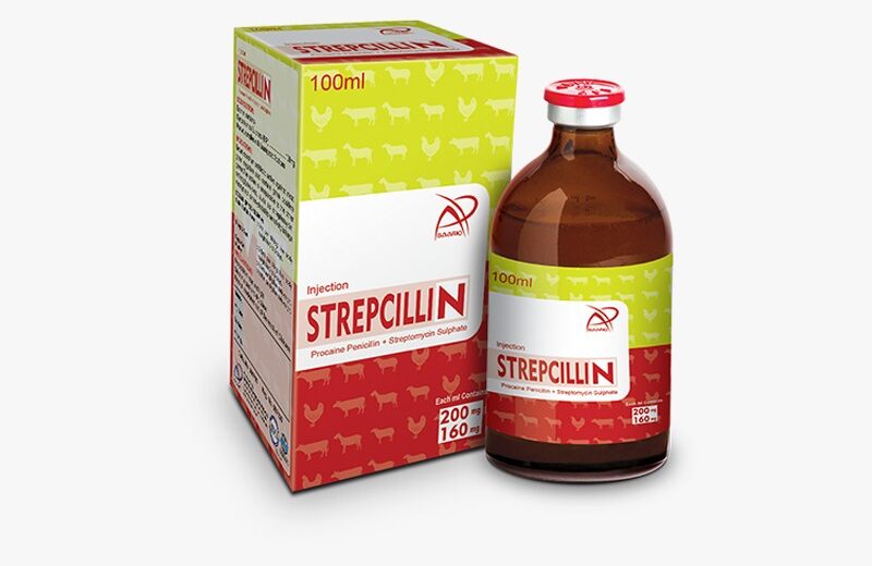 STREPCILLIN (Injection 100 ml)