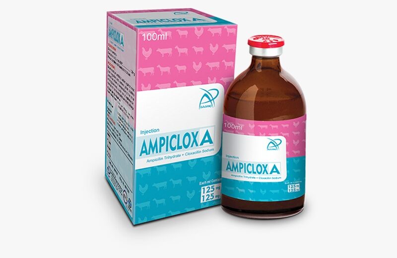 AMPICLOX A