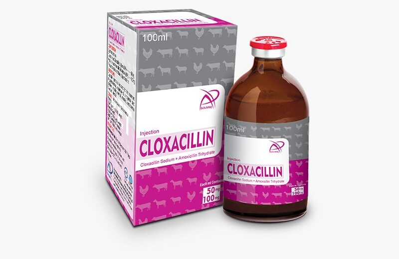 CLOXACILLIN