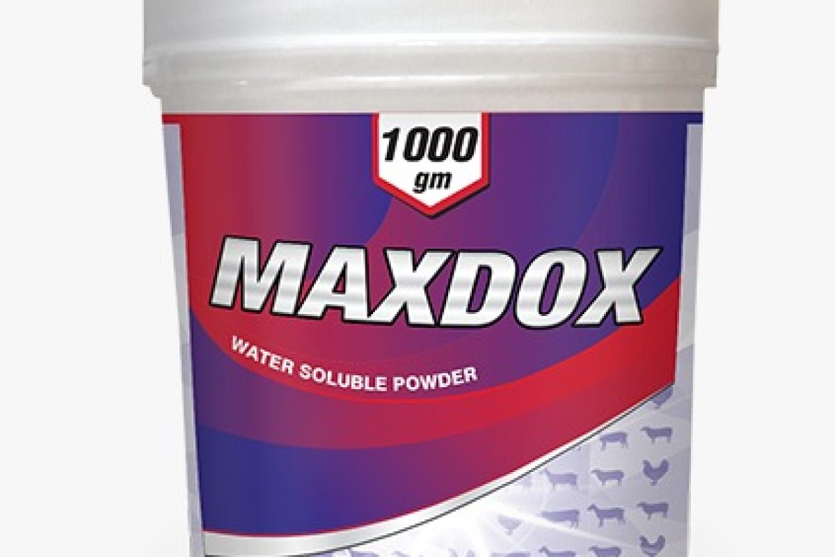 MAXDOX