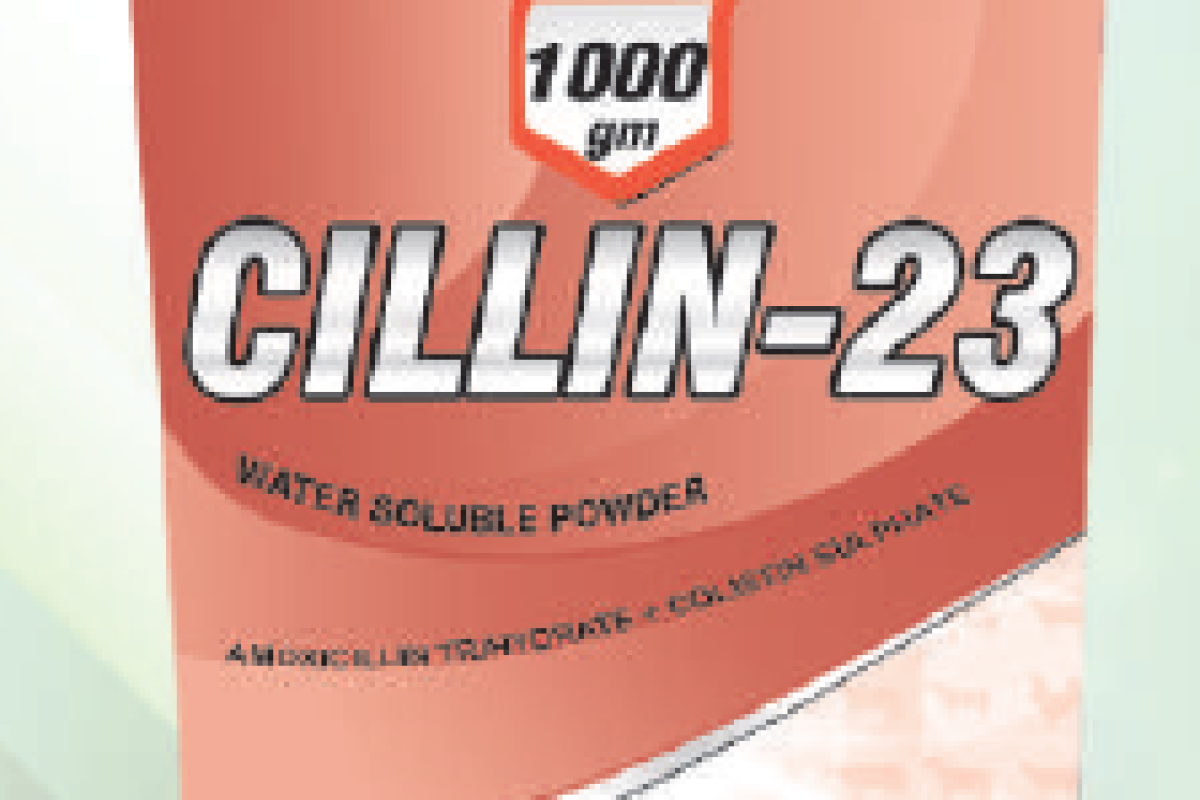 cillin-23