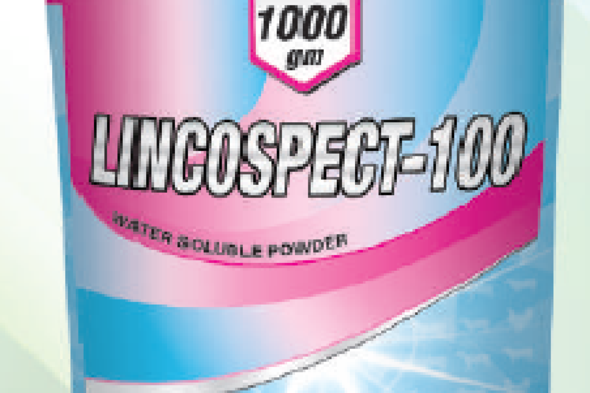 lincospect-100